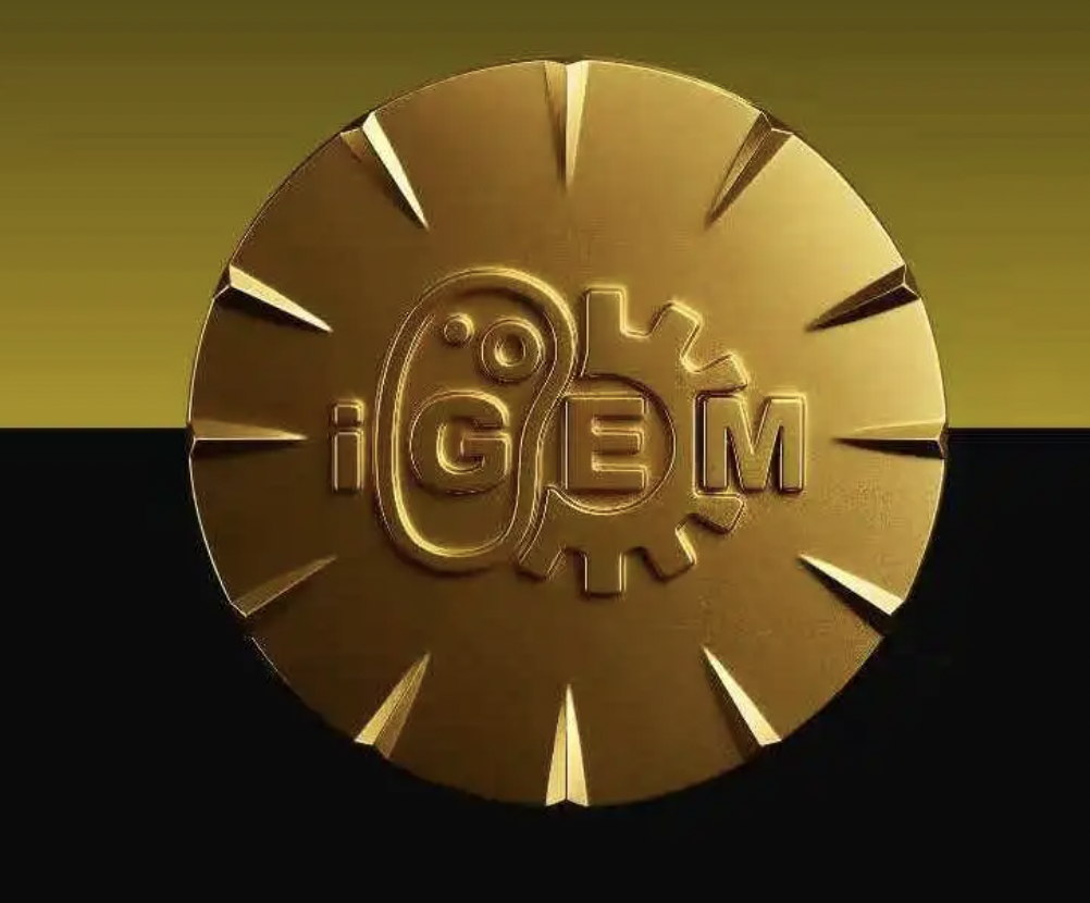 满载金奖，活力全开｜领科校园里的高光时刻全记录